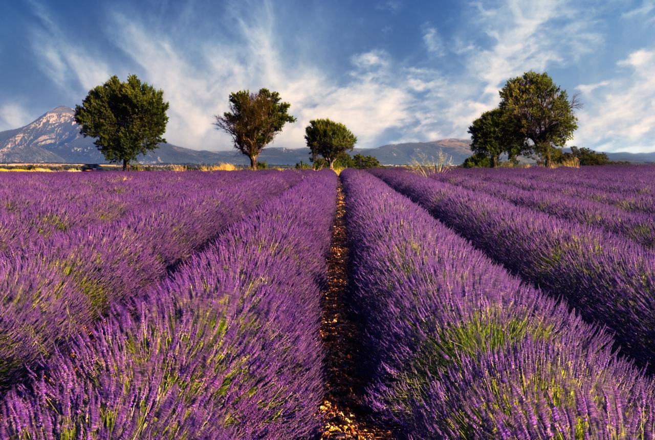 Portail Du Ventoux Central Luxe Jardin Linge Fourni Малосен Екстер'єр фото